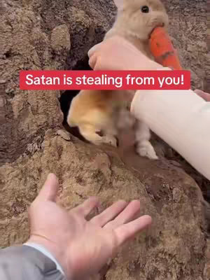 The image shows a person's hand reaching out towards a plush bunny being held near a rocky surface. A red banner with white text reading "Satan is stealing from you!" is overlaid on the image. The bunny is holding a carrot.