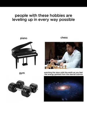 The cover image is formatted as a meme. The top text reads 'people with these hobbies are leveling up in every way possible'. Below are a series of image sets, the first being a black piano and underneath, the text 'piano', the second set being an image of a person playing chess followed by the text chess, the third is a pair of dumbbells with the text 'gym' underneath, and the final image is of a galaxy with the text 'watching the stars orbit the earth as you feel the energy granted from the eternal cosmos'.