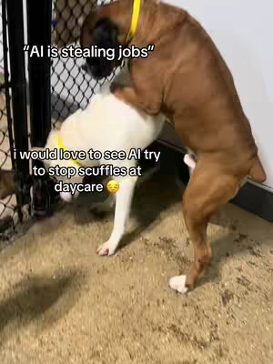 Two dogs, one brown and one white, are interacting in a fenced area. Text overlays state "AI is stealing jobs" and "i would love to see AI try to stop scuffles at daycare".