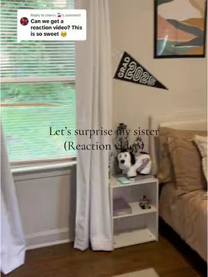 A room interior with a window on the left, a white curtain, and a small white shelf. A graduation-themed pennant hangs on the wall.