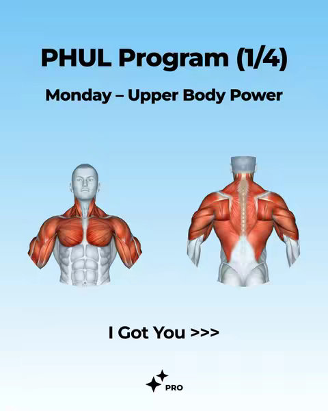 The cover image features the text "PHUL Program (1/4)" at the top, followed by "Monday - Upper Body Power." Below, there are two anatomical illustrations of a male form, one from the front and one from the back, highlighting muscle groups. The text "I Got You >>>" appears under the illustrations and the 'PRO' logo and asterisks are in the bottom right.