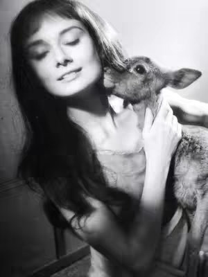Black and white image of Audrey Hepburn embracing a fawn. Hepburn is smiling, her eyes closed, and the fawn is nuzzling her neck. The scene is warmly lit with soft focus.