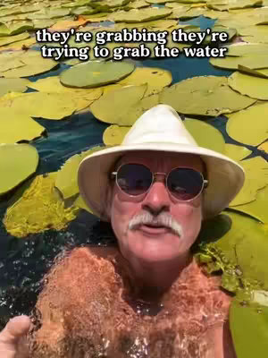 A man in a hat and sunglasses is in water surrounded by lily pads. Text overlayed reads: "they're grabbing they're trying to grab the water"