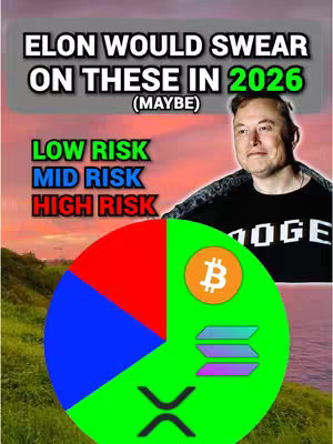 The cover image features a composite design. It includes a background blending sunset colors with a grassy landscape. Overlaid are a text overlay, a pie chart, and a picture of Elon Musk. Elon is positioned on the right side, slightly angled toward the center. Above Elon, the text reads, 'ELON WOULD SWEAR ON THESE IN 2026 (MAYBE).' Below the text are colored words that say 'LOW RISK', 'MID RISK', and 'HIGH RISK'.  A pie chart is in the lower left portion, with segments in red, blue, and green. Inside, icons represent different types of cryptocurrency such as  Bitcoin (BTC), Solana (SOL), and XRP.