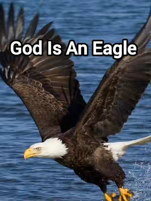 An image of a bald eagle in mid-flight, wings spread against a backdrop of blue water. The eagle's brown feathers contrast with its white head and yellow beak. Text overlaid reads "God Is An Eagle."