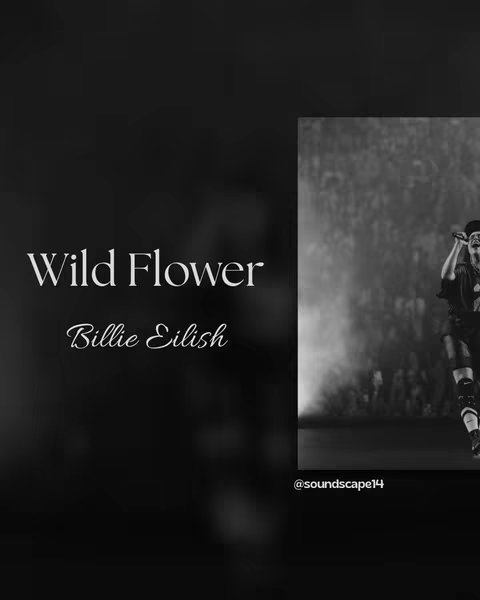 Black and white image featuring the title of a song 'Wild Flower' and the artist name 'Billie Eilish' on the left side, with a dark background. On the right side is a shot of Billie Eilish performing on stage, captured in motion with the audience blurred in the background.