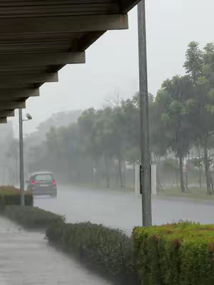 An image captures a rainy day scene on a road. A car is seen driving away on a road with water, and surrounded with trees and roadside green bushes in front of an overcast sky and street lights lining the road. The scene is framed by an overhang on the left.