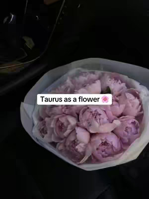 An overhead shot of a bouquet of pink flowers in a white paper wrap. The backdrop is dark, possibly a car interior. A text overlay reads 'Taurus as a flower'.