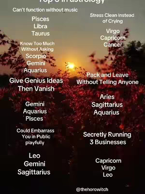 A sunset scene with silhouetted foliage in the foreground and text overlayed, listing which zodiac signs are "Top 3 in astrology" for various traits.