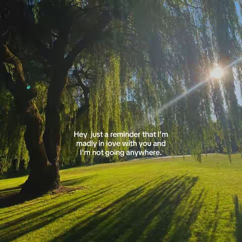 A scenic shot of a sunny day in a park. A large tree with green leaves dominates the left side of the image, with its branches and leaves cascading down. The backdrop is a lush green lawn that leads further back to the right. Sun rays shine through the trees, and overlaid text is visible. The overall aesthetic suggests a peaceful, nature-focused setting.