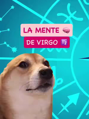 The cover image features a meme with a dog as the central figure, set against a turquoise background with astrological symbols. The dog, a Shiba Inu or similar breed, has a somewhat confused expression. Overlaying the image, there are two text boxes: one in pink that reads 'LA MENTE' followed by a brain emoji, and another in magenta that says 'DE VIRGO' with the Virgo astrological symbol. The overall aesthetic combines humor with astrology.