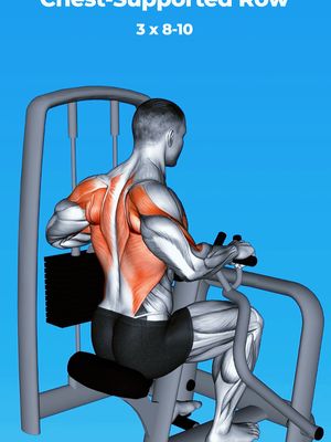 A digital illustration showing a man performing a chest-supported row exercise on a weight machine. The man’s back muscles are highlighted in red, and the text "Chest-Supported Row 3 x 8-10" is written at the top.