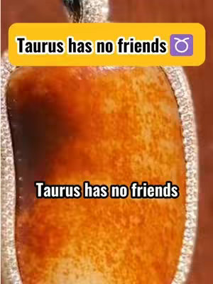 The cover image shows a close-up of a pendant with a brown, textured surface. The pendant is surrounded by a border with silver detailing. Text overlays in yellow rectangles state, "Taurus has no friends".