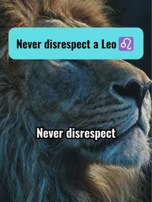 The image features a close-up of a lion's face, focusing on its snout with visible fur and details of its skin. Overlaying the image is an aqua-colored rectangle with the text "Never disrespect a Leo" in bold, white text, along with the Leo zodiac symbol. Below this, in a separate smaller rectangular box, it states "Never disrespect"
