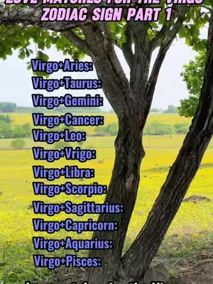 The image shows a tree trunk in the foreground, with a list of zodiac sign pairings in text overlaid on the image. The background shows a vibrant field and glimpses of trees under a blue sky.