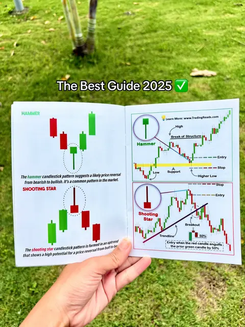 A hand holding open a booklet with illustrations of candlestick patterns against a grassy green background. The text "The Best Guide 2025" is overlaid near the top of the image.