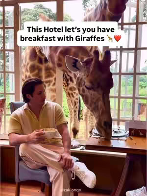 A man sits at a table in a room, holding a cup. A giraffe is outside the window, looking in. The text overlay says, "This Hotel let's you have breakfast with Giraffes".