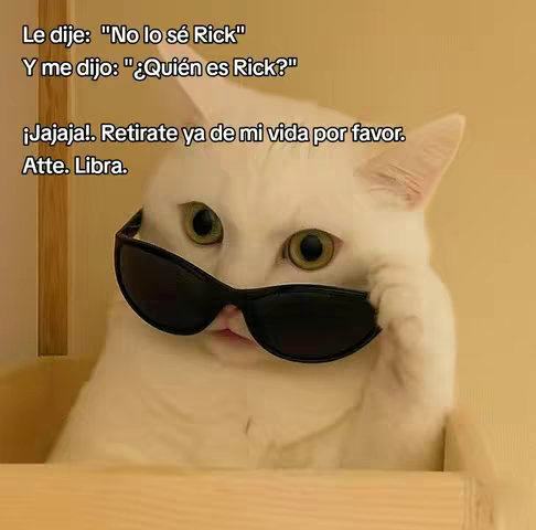 A meme-style image featuring a white cat wearing sunglasses, positioned at the center of the shot. The cat is resting its head on its paw, looking toward the top right with a somewhat quizzical expression. Text overlays in Spanish are positioned above and below the cat.
