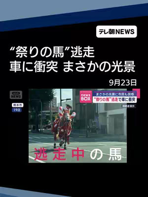 The cover image features a news graphic with text overlayed on a video clip showing a horse running on a city street. The text at the top reads "テレ朝NEWS" and the hook text summarizes the news story about a horse that escaped and collided with a car. Below, a video clip is playing, where a horse wearing a costume runs down the road in a city.