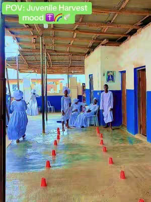 An indoor scene with individuals in long white robes participating in what appears to be a church or religious gathering inside of a large structure that is partially open to the outside. The cover image features a text overlay at the top, over a green background, with the text 'POV: Juvenile Harvest mood' overlaid. A path is formed with cones in the foreground, leading toward the individuals. The color palette is soft with the beige, white, with blue elements and colorful visual elements.