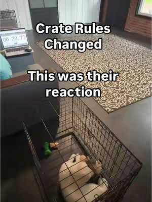 The image shows a laptop on a desk, a patterned rug, and a dog inside a crate. Above the crate, text overlays read, 'Crate Rules Changed' and 'This was their reaction.' The crate is open, and the dog is curled up inside.