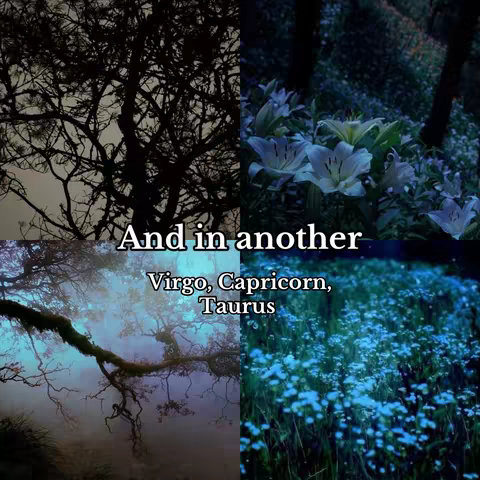 The cover image is split into four quadrants, each showcasing a different natural scene. Top left: Silhouetted tree branches against a light, overcast sky. Top right: Light-filled flowers with other plants. Bottom left: A misty, blue setting with a tree branch. Bottom right: A close-up of small, blue flowers. There is text in the center.
