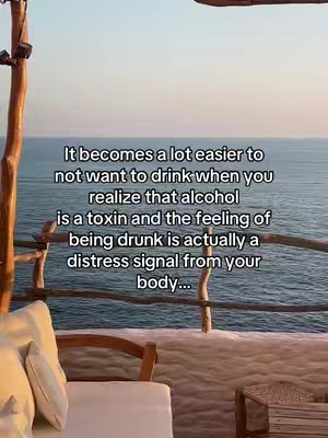 An outdoor scene with a view of the ocean. In the foreground, there's a seating area with white cushions and a wooden structure. Text is overlaid in the center, presenting a motivational quote about alcohol. The sky is a gradient of colors from light to dark, and the overall vibe is tranquil.