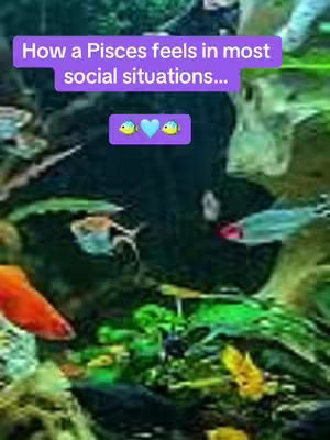 The cover image shows an aquarium scene with various colorful fish and aquatic plants. The text overlay has a purple background, and the text is in white font. There are some emojis of fish and a heart, adding a touch of humor and personalization.