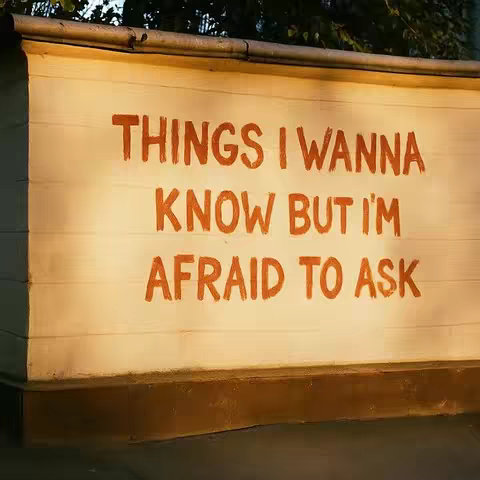 A close-up shot of a white wall with the words 'THINGS I WANNA KNOW BUT I'M AFRAID TO ASK' painted in orange, handwritten-style letters. The wall is slightly weathered with visible wood grain and a brown base. The scene is bathed in warm, indirect sunlight.