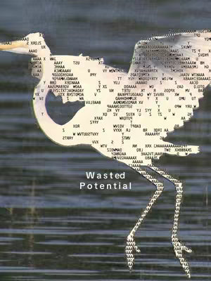 The image features a stylized white bird silhouette, filled with random characters, set against a dark background that looks like water. The words 'Wasted Potential' are in a sans-serif font beneath the bird.