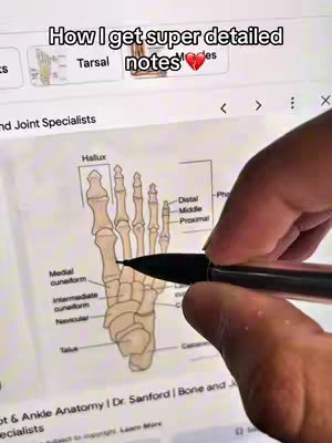 The image shows a close-up of a tablet screen displaying an anatomical diagram of a foot. A hand with a black pen is pointing to parts of the diagram. The background shows elements of a webpage.
