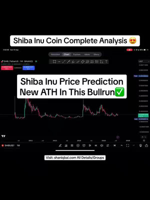 The cover image displays a screen recording of a trading platform focused on Shiba Inu (SHIB) coin. The central element is a price chart depicting the coin's historical performance.  There are also additional elements in the image that are not fully visible. The overall color scheme is dark, dominated by black and dark green, with red and white accents in the chart which likely represents the price movement and possibly trend or trading volume. The image is clean in layout, with a modern sleek aesthetic.