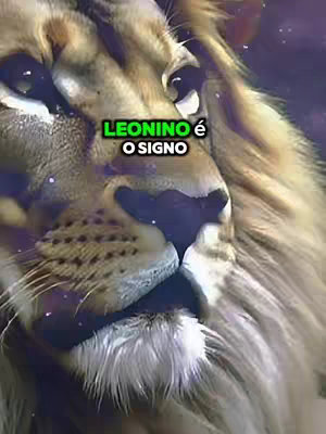 The image shows a close-up of a lion's face. The lion has a golden mane and a detailed face, with sharp features. Overlayed on the image is text in a green box.