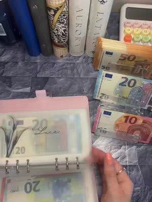 The image shows a first-person perspective of a person near a table holding a pink zip binder type wallet that has a flower logo, along with stacks of euro bills. There are stacks of books or binders in the background, a calculator to the right, with stacks of euro bills in the right-hand side. The general tone of the picture is money and expense related.