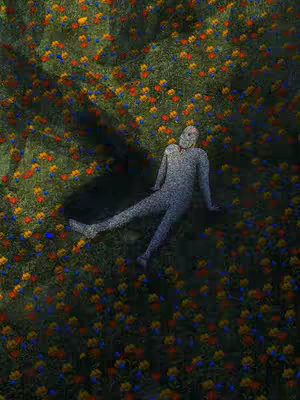 An illustration featuring a figure shaped as a humanoid, lying on its back amidst a field of flowers colored red, yellow, and blue. The ground is covered with green grass, and overall lighting creates shadows.