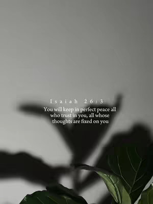 An image with neutral, greyish tones featuring a plant in the foreground, casting a shadow on the wall. The shadow of a plant is visible, creating a secondary layer against the background. Text overlay in the center reads a bible verse. A leaf is present.