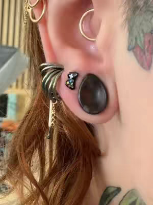 A close-up shot of a person's ear adorned with multiple piercings and accessories. The ear features a large, dark-colored gauge, a small stud with colorful accents, and a curving metallic ear cuff.