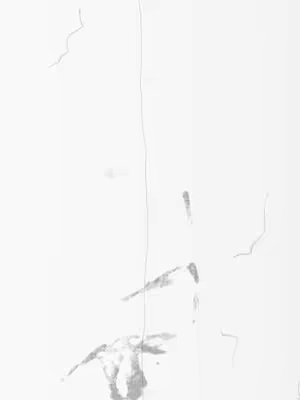 An abstract image, monochrome in style. The background is a soft white with multiple vertical lines and a few smudges of gray near the bottom. The image gives an impression of aged parchment or a textured wall.
