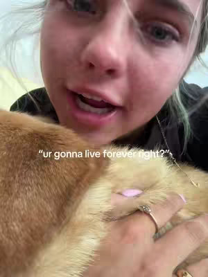 A close-up video shows a young woman with blonde hair holding and hugging a dog. She is crying and speaking, with text overlayed on the image.
