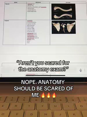 The cover image shows a laptop keyboard in the foreground with an anatomy chart open on the screen. Text overlays quote a question about an anatomy exam and a defiant response using stylized font to indicate an overconfident attitude. The screen displays anatomy information.