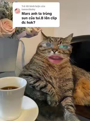 A selfie-style image featuring a cat with a superimposed human face. The cat is brown and tan tabby, sitting on a surface with a cup of coffee in the foreground, and some flowers in a vase behind.