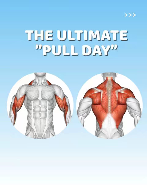 The image features a light blue gradient background. In the center, it shows a stylized anatomical illustration of a human body with muscles highlighted in red, demonstrating 'The Ultimate Pull Day'. The left side shows the front of the body with the arms highlighted, and on the right is the back with the back muscles in focus. White text at the top displays the video title: 'THE ULTIMATE “PULL DAY”'. There are right-pointing arrows in white in the upper right corner.