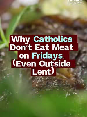 A blurry close-up of foliage, likely a plant, with a dark red rectangular text overlay. The text provides context about the video's subject. The top right corner shows a partial logo.