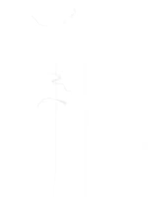 The image is a mostly white background, with some soft, wispy shapes on a vertical line. It gives a light and airy feeling.