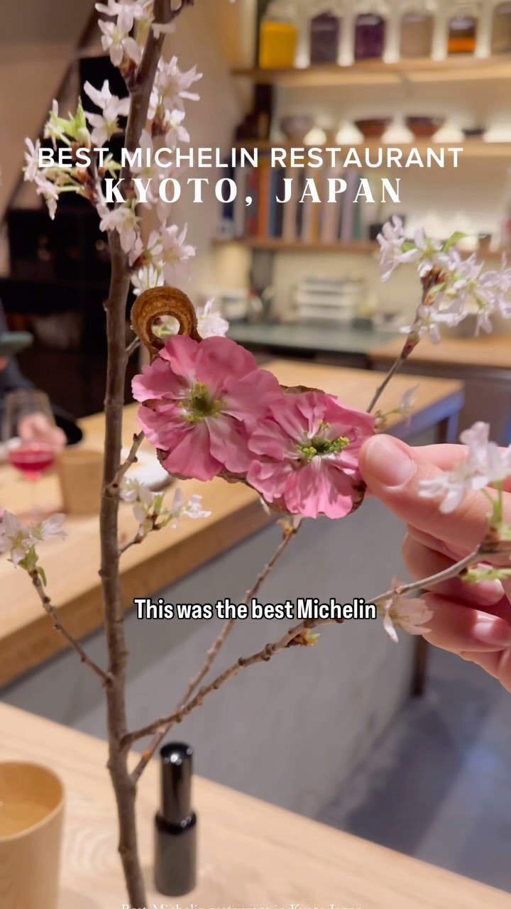 The cover image shows a hand holding a branch with pink and white cherry blossoms in front of a restaurant interior background.Text overlays read, "BEST MICHELIN RESTAURANT KYOTO, JAPAN" and "This was the best Michelin".