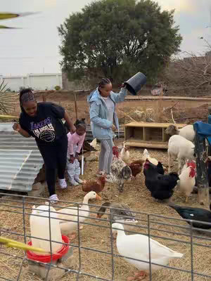 The image shows a group of people interacting with chickens and ducks in a farm setting. Two women and children are in the frame. Chickens and ducks are in a fenced area.