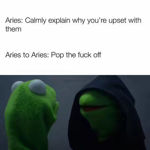 The cover image features a meme-style layout with text at the top and an image at the bottom. The text reads "Aries: Calmly explain why you're upset with them" and "Aries to Aries: Pop the fuck off". The image shows two Kermit the Frog puppets, one looking normal and the other wearing a dark hood. The background is a dark, muted blue.