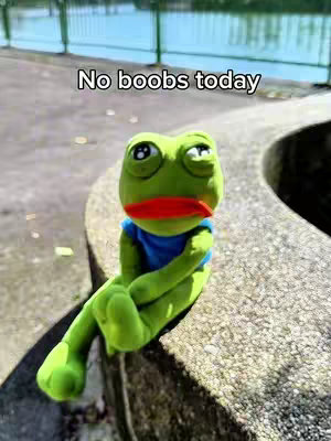 A close-up shot of a green frog puppet wearing a blue shirt sits on a concrete ledge. The frog has large, expressive eyes and a red, downturned mouth. A body of water and a green fence can be seen in the background. Text overlay reads "No boobs today".
