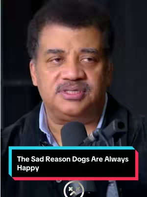 A portrait-style cover image featuring a middle-aged man with dark hair and a mustache, positioned in front of a neutral background, and with a text overlay at the bottom.