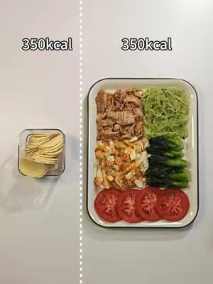 The cover image is a top-down shot of a plate with healthy food. On the left is a clear container with chips, and the upper-left corner text reads "350kcal". The right side is divided into 6 sections by the lines on the plate, each containing different food items: shredded meat, green pasta, green vegetables, tomatoes, and a light brown food. The upper-right corner text reads "350kcal". The background is a plain white surface.